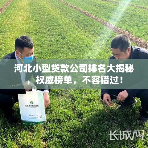 河北小型貸款公司排名大揭秘，權(quán)威榜單，不容錯(cuò)過！