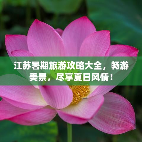江蘇暑期旅游攻略大全，暢游美景，盡享夏日風情！