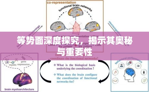 等勢面深度探究，揭示其奧秘與重要性