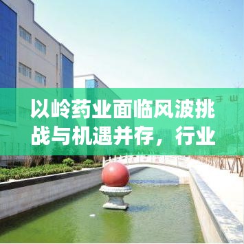 以嶺藥業(yè)面臨風(fēng)波挑戰(zhàn)與機(jī)遇并存，行業(yè)觀察分析