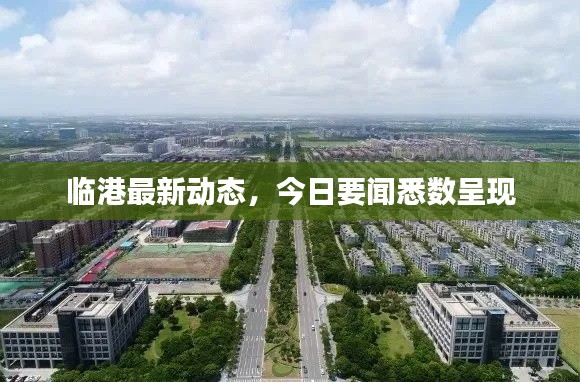 臨港最新動(dòng)態(tài)，今日要聞悉數(shù)呈現(xiàn)