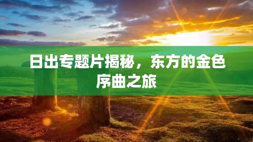 日出專題片揭秘，東方的金色序曲之旅