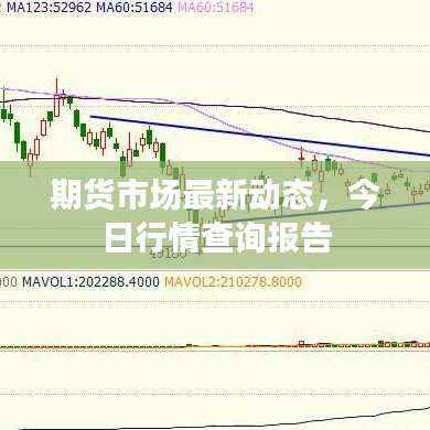 期貨市場最新動態(tài)，今日行情查詢報告