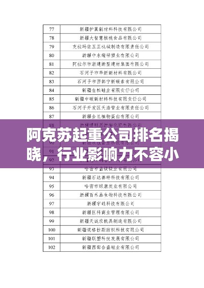 阿克蘇起重公司排名揭曉，行業(yè)影響力不容小覷