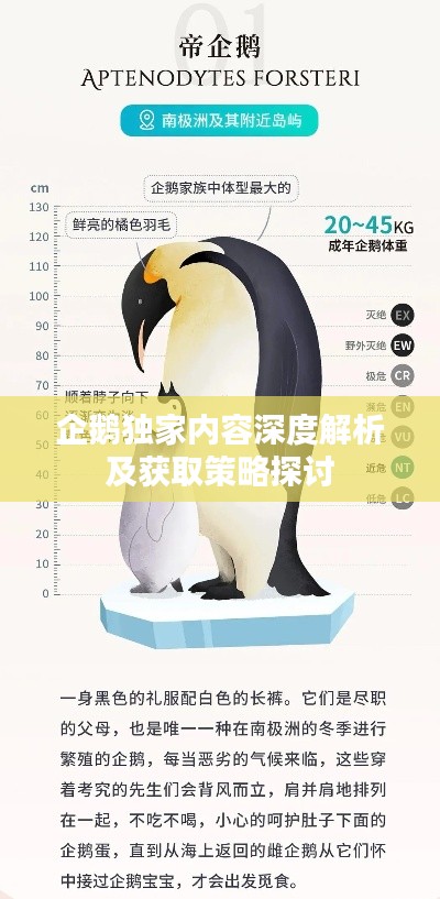 企鵝獨家內容深度解析及獲取策略探討