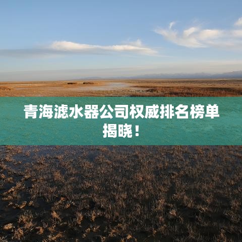 青海濾水器公司權威排名榜單揭曉！