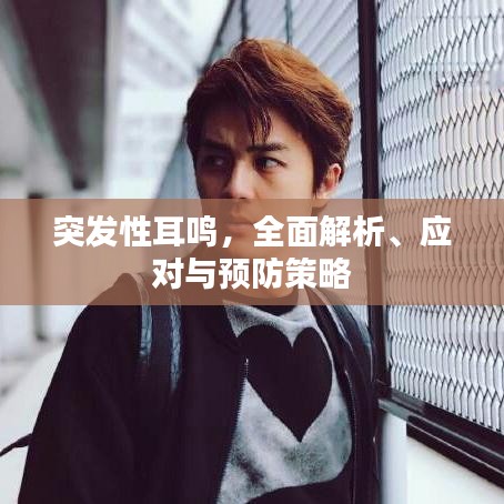 突發(fā)性耳鳴，全面解析、應(yīng)對(duì)與預(yù)防策略