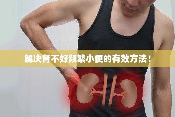 解決腎不好頻繁小便的有效方法！