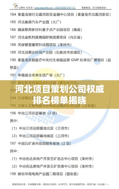 河北項目策劃公司權(quán)威排名榜單揭曉