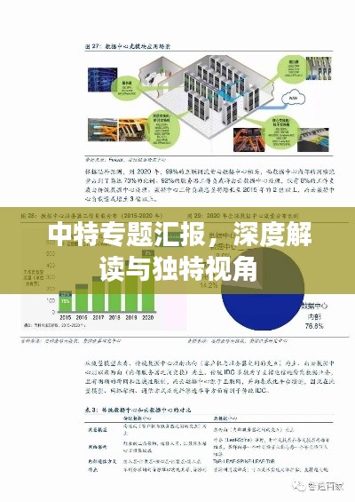 中特專題匯報，深度解讀與獨特視角