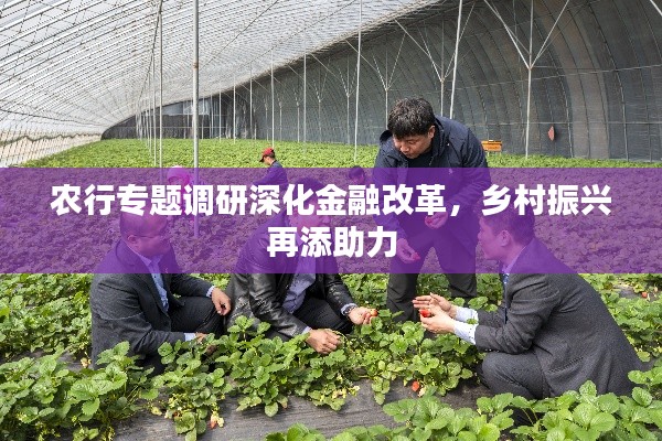 農(nóng)行專題調(diào)研深化金融改革，鄉(xiāng)村振興再添助力