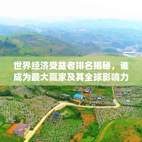 世界經(jīng)濟(jì)受益者排名揭秘，誰成為最大贏家及其全球影響力解讀