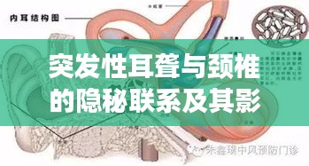 突發(fā)性耳聾與頸椎的隱秘聯(lián)系及其影響