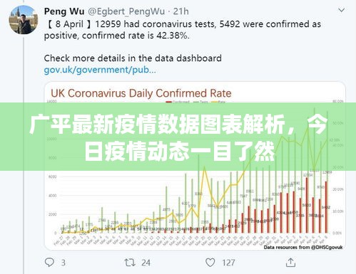 廣平最新疫情數(shù)據(jù)圖表解析，今日疫情動(dòng)態(tài)一目了然