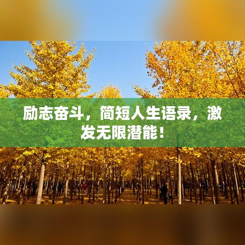 勵(lì)志奮斗，簡短人生語錄，激發(fā)無限潛能！