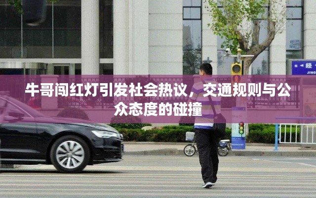 牛哥闖紅燈引發(fā)社會熱議，交通規(guī)則與公眾態(tài)度的碰撞