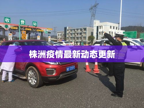 株洲疫情最新動態(tài)更新