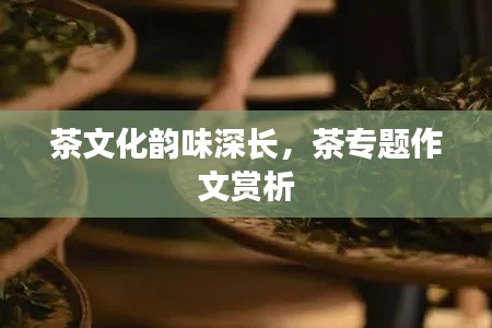 茶文化韻味深長，茶專題作文賞析