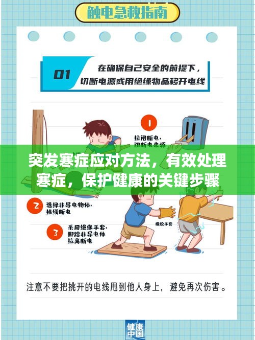 合作伙伴 第5頁