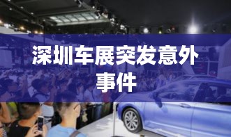 深圳車展突發(fā)意外事件
