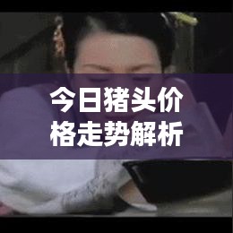 公司簡介 第7頁
