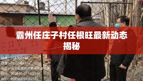 霸州任莊子村任根旺最新動態(tài)揭秘