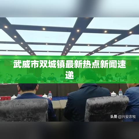 武威市雙城鎮(zhèn)最新熱點新聞速遞