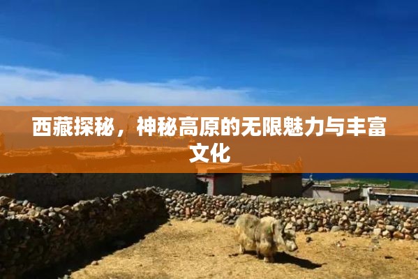 西藏探秘，神秘高原的無限魅力與豐富文化