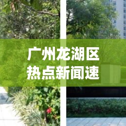 廣州龍湖區(qū)熱點新聞速遞
