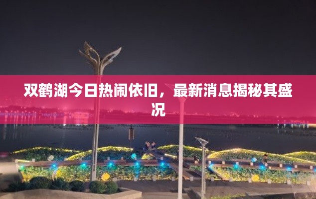雙鶴湖今日熱鬧依舊，最新消息揭秘其盛況
