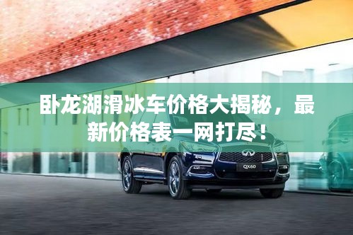 臥龍湖滑冰車價格大揭秘，最新價格表一網(wǎng)打盡！
