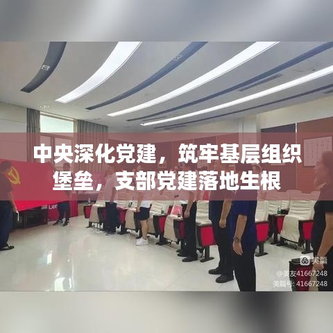 中央深化黨建，筑牢基層組織堡壘，支部黨建落地生根