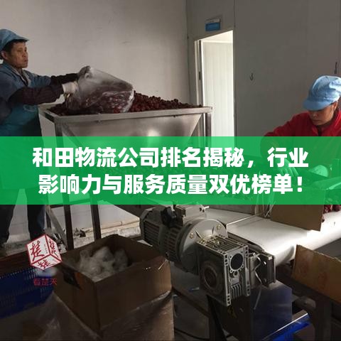 和田物流公司排名揭秘，行業(yè)影響力與服務(wù)質(zhì)量雙優(yōu)榜單！