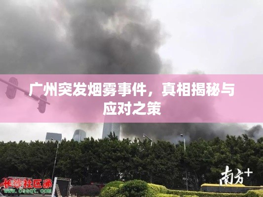廣州突發(fā)煙霧事件，真相揭秘與應對之策