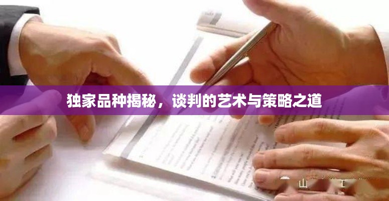 獨(dú)家品種揭秘，談判的藝術(shù)與策略之道