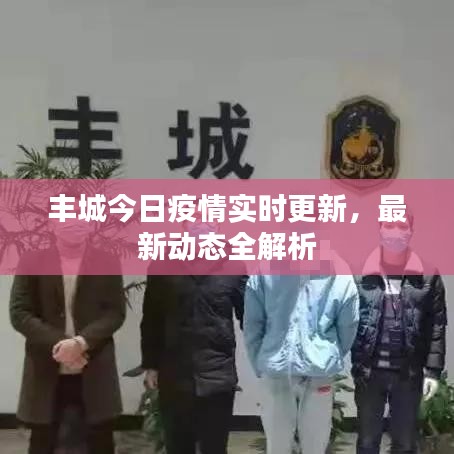 豐城今日疫情實時更新，最新動態(tài)全解析