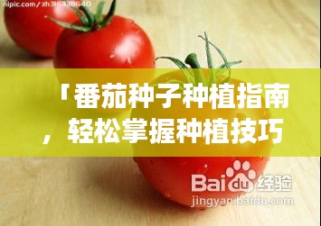 破衲疏羹