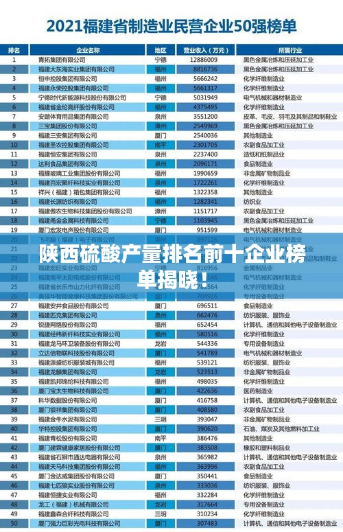 陜西硫酸產(chǎn)量排名前十企業(yè)榜單揭曉！