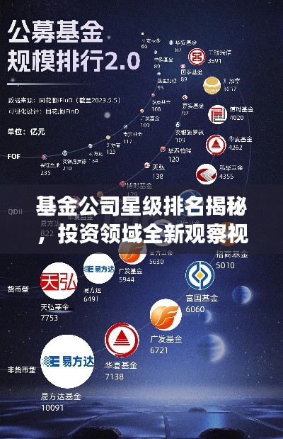 基金公司星級排名揭秘，投資領(lǐng)域全新觀察視角