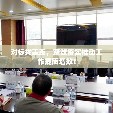 對標找差距，整改落實推動工作提質(zhì)增效！
