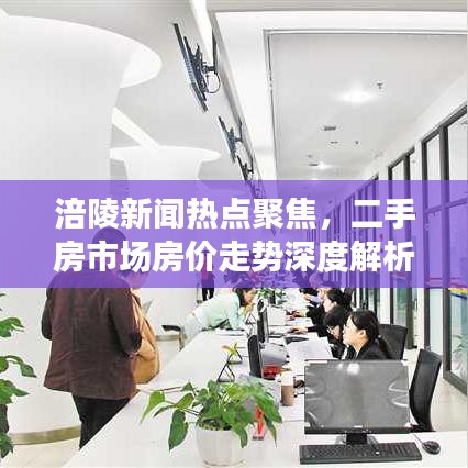 涪陵新聞熱點聚焦，二手房市場房價走勢深度解析