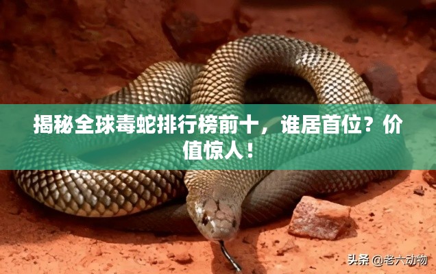 移罇就教