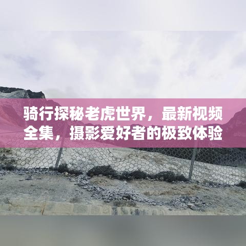 案例中心 第3頁(yè)