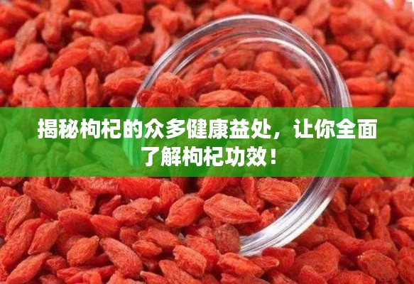 揭秘枸杞的眾多健康益處，讓你全面了解枸杞功效！