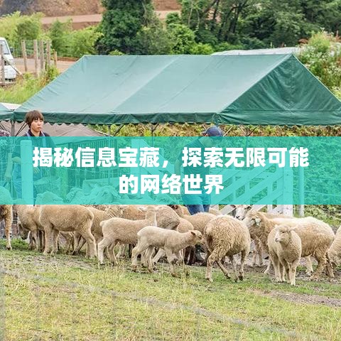 揭秘信息寶藏，探索無限可能的網(wǎng)絡世界