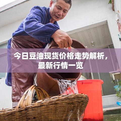 今日豆油現(xiàn)貨價格走勢解析，最新行情一覽