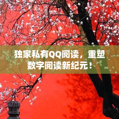 獨(dú)家私有QQ閱讀，重塑數(shù)字閱讀新紀(jì)元！