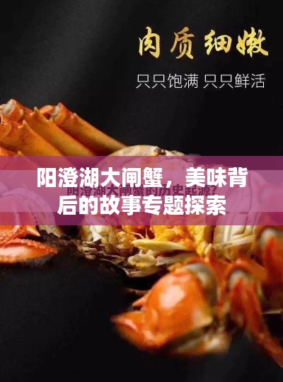 陽澄湖大閘蟹，美味背后的故事專題探索