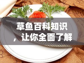 草魚百科知識，讓你全面了解這種美味的水產(chǎn)！