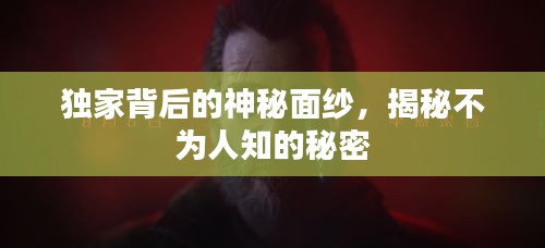 獨(dú)家背后的神秘面紗，揭秘不為人知的秘密